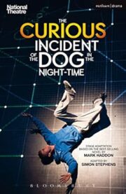 Curious Incident Play