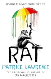 Rat