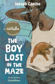 The Boy Lost In The Maze (Carnegie Medal Winner)