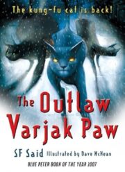 The Outlaw varjak Paw front cover