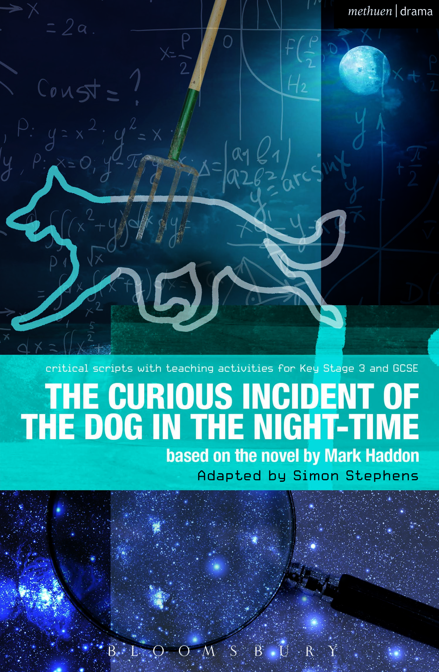 The Curious Incident Of The Dog In The Night Time - The Play, Critical Scripts